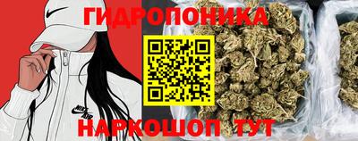 спиды Тверь
