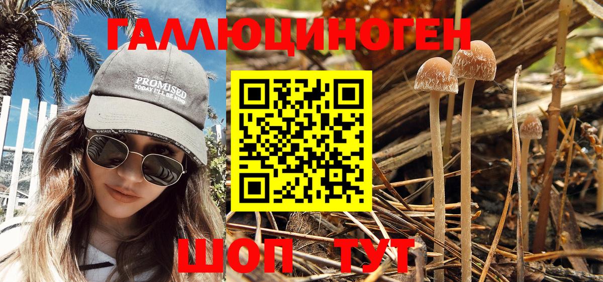 Псилоцибиновые грибы MAGIC MUSHROOMS Нефтекамск